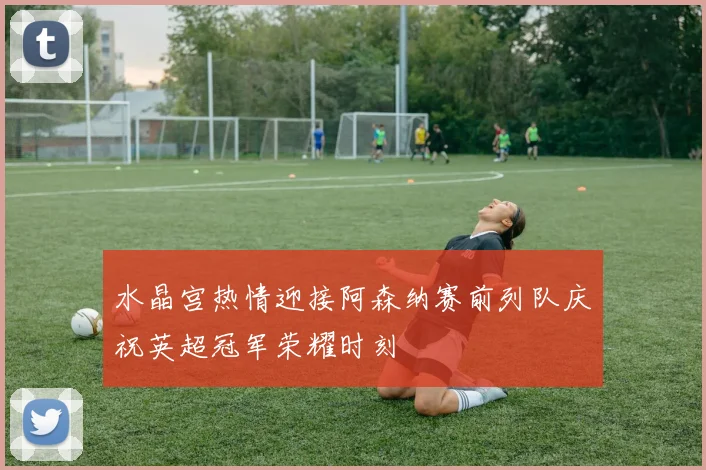 水晶宫热情迎接阿森纳赛前列队庆祝英超冠军荣耀时刻