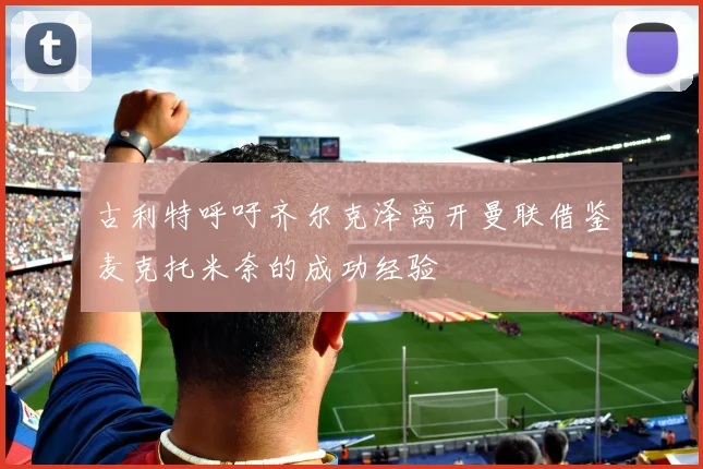 古利特呼吁齐尔克泽离开曼联借鉴麦克托米奈的成功经验